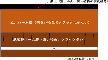 図-1 立川ローム層と武蔵野ローム層との露頭イメージ