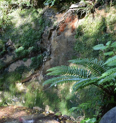 写真-4 ローム層下位の「不動の滝」湧水状況 