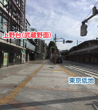 写真-1 上野駅周辺（左上野台、右東京低地）