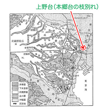 図-1 東京の台地と段丘面（文献１）