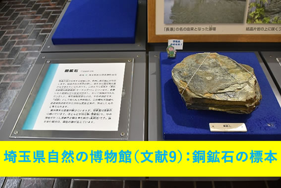 埼玉県自然の博物館（文献9）：銅鉱石の標本