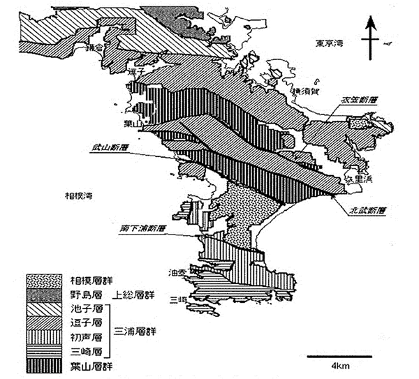 図-2 三浦半島の地質概要（文献１より）